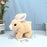Walking Plush Rabbit With Music