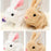 Walking Plush Rabbit With Music